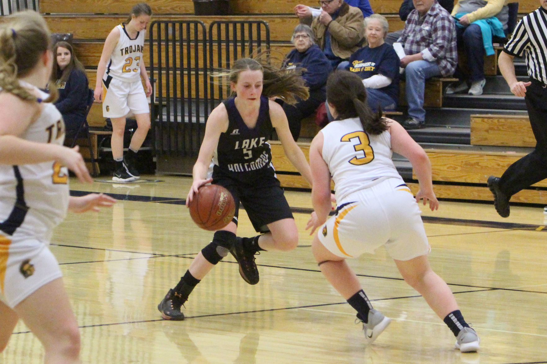 Lake Holcombe at New Auburn girls basketball 2-14-19